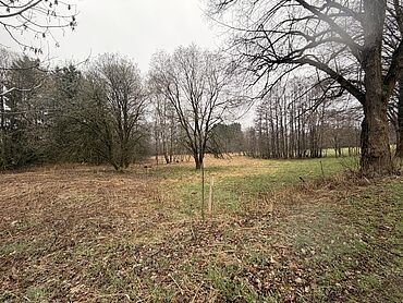 S26-02-114: nahe Stollberger Straße, Flste. 1301, 1303, 1304, 1306, 1309
	08297 Zwönitz