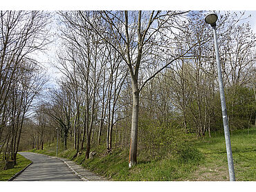 S21-03-045: Taubacher Straße, Flurstück 170
							99425 Weimar