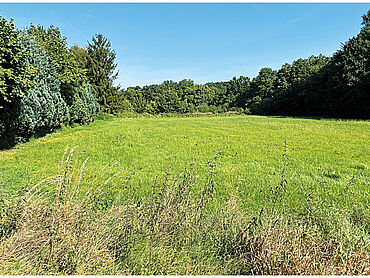 N26-02-040: Wohlenroder Straße
	29351 Wohlenrode