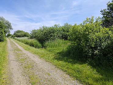 D26-03-009: Hiirlön
							25980 Sylt