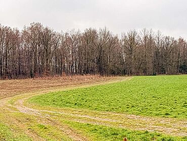 S26-02-113: an der S 161, Flurstücke 1486/1, 1503
							01833  Stolpen