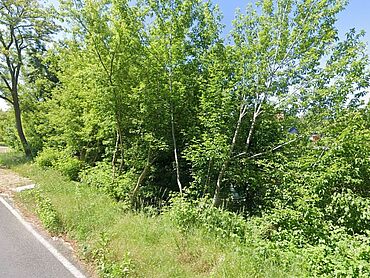 I26-16-023:  Gubener Straße/Unterschleuse jew. o. Nr.
		15890 Eisenhüttenstadt