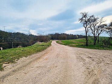 S26-02-043: nahe Hahnstraße, Flurstück 22/6
							99765 Heringen/Helme