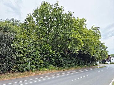 W26-03-010: Arnsberger Str./Wisbyring, Flur 35, Flurstück 347
							59494  Soest