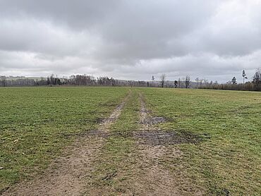 S26-02-113: an der S 161, Flurstücke 1486/1, 1503
	01833  Stolpen
